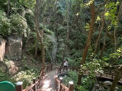 -大岭沟猕猴桃谷风景区