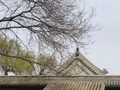 -恭王府博物馆