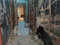 -北京动物园-畅观楼