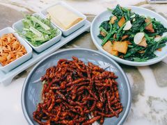 薄脆京酱肉丝-小吊梨汤·北京菜(香山店)