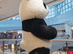 -半天妖烤鱼(印象城店)