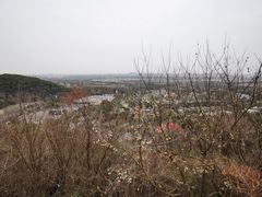 -上海佘山国家森林公园西佘山园