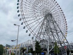 -大阪海游馆