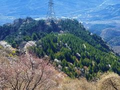 -北京鹫峰国家森林公园