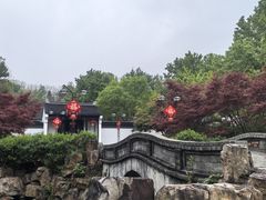 -宜兴龙背山森林公园
