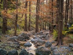 -国家植物园南园