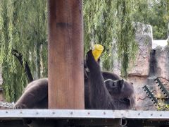 -石家庄市动物园