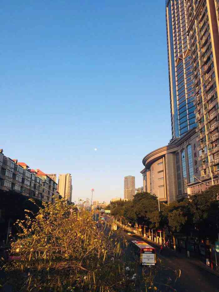 清远必吃鸡煲:天桥底餐馆