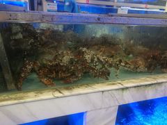 -青石桥市场北1-27号