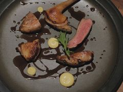 鸽子肉-EGoN