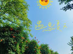 -海文实验幼儿园