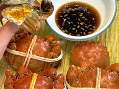 -蟹天蟹地农家菜·阳澄湖大闸蟹(浅水湾店)
