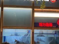 -鱼酷活鱼烤鱼(新世界城店)