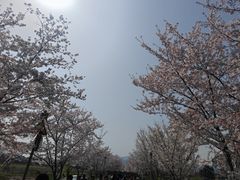 -长田漾湿地公园