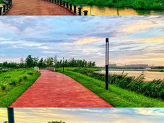 -春花秋色城市公园