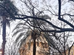 -瓦伦西亚大教堂