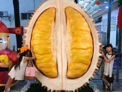 -都念榴莲·城市榴莲