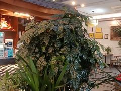 -白家寨子·山野白族菜(古城总店)