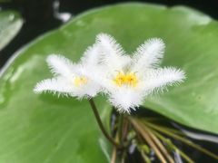 -荔湾博物馆