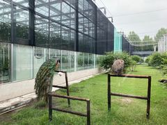 -兰陵国家农业公园