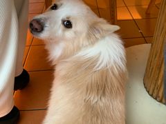 -俏贝拉(裕后街店)