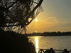 -丁香湖公园