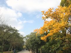 -白马涧龙池景区