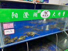 -阳澄湖大闸蟹·琼灵阁牌品牌连锁(吴中总店)