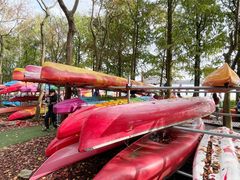 -上海海湾国家森林公园