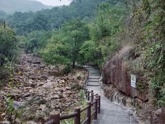 -广州白江湖森林公园