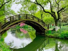 -中国科学院华南植物园