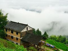 -紫鹊界梯田景区