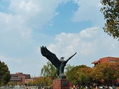 -上海交通大学(闵行校区)