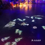 158元带宝宝看可爱的宠物[机智]