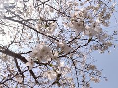 -西北湖绿化广场