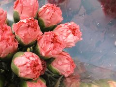 -双季花艺园艺市场(浦东店)