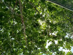 -山东外贸职业学院