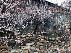 -白沙门生态公园