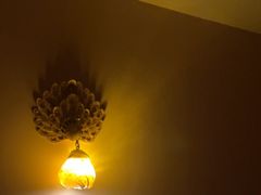-金色莲花泰式按摩SPA(石牌店)