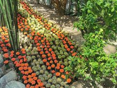 -南山植物园