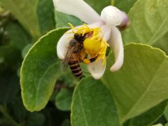 -福田红树林生态公园