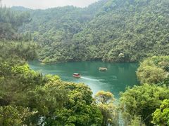 -鼎湖山风景区
