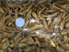 -水一方现烤鱿鱼丝大连特产(华南亿合城店)