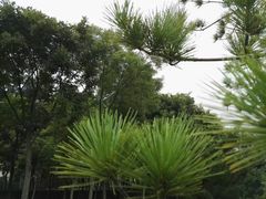 -森林公园(尖草坪区)