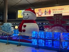 -哈尔滨太平国际机场-T2航站楼