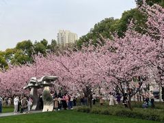 -静安雕塑公园