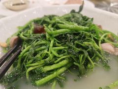 上汤西洋菜-姚林轩
