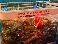 -雍容荟帝王蟹活龙虾展台自助(IFS黑金店)