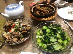 -全乐鱼馆·淳牌有机鱼直营店