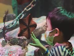 -沈阳海洋探索中心